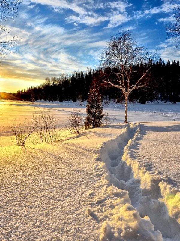 winter-landscape-636634_1280